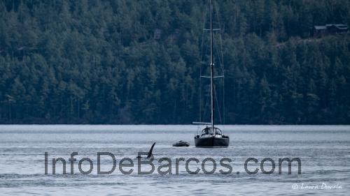 Spencer 4780 opinión y ficha técnica